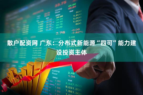 散户配资网 广东：分布式新能源“四可”能力建设投资主体